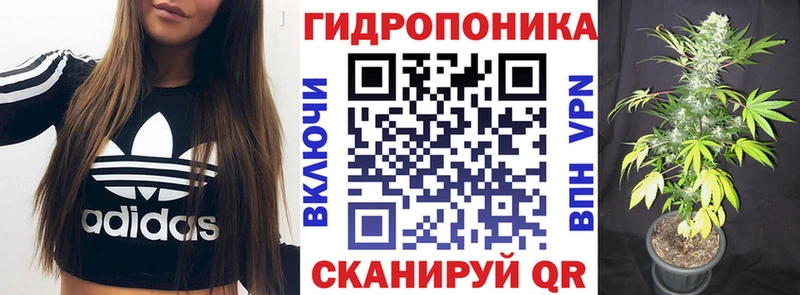 Марихуана планчик  даркнет официальный сайт  Киров 